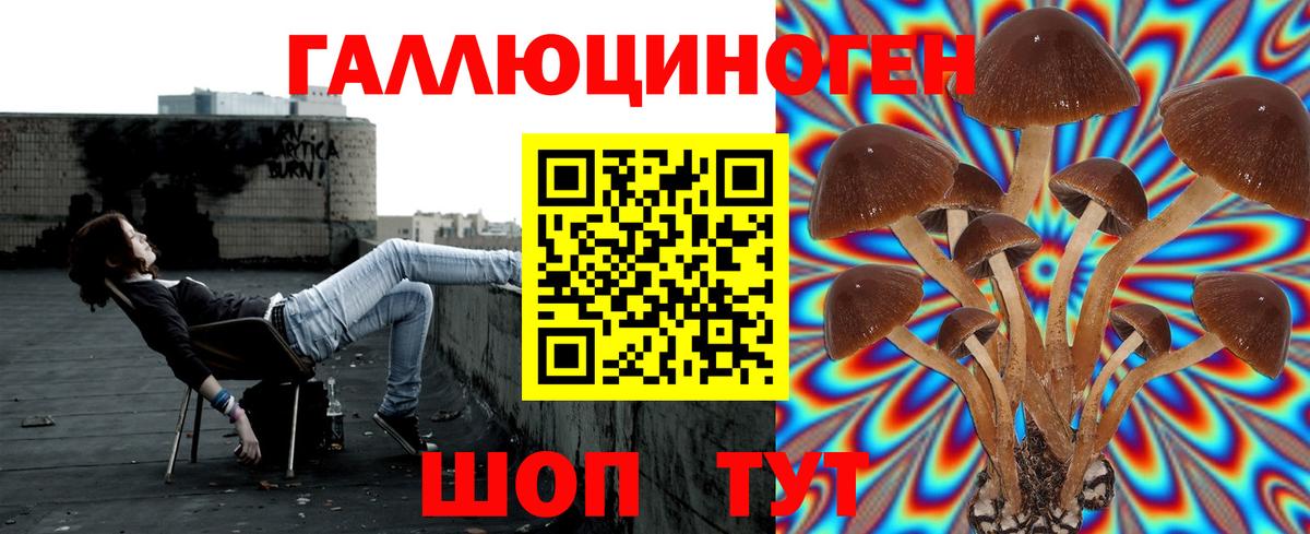 Псилоцибиновые грибы GOLDEN TEACHER  Псилоцибиновые грибы Psilocybe  где купить   Вход с VPN  Кулебаки 